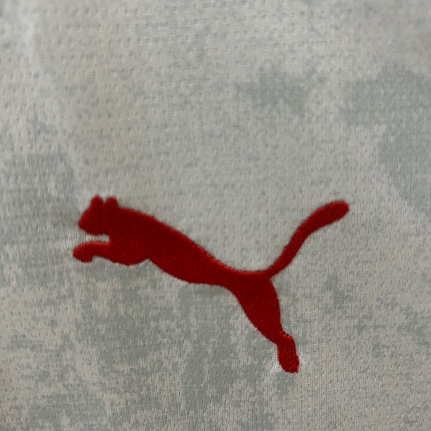 Leipzig 25/26 Home Kit