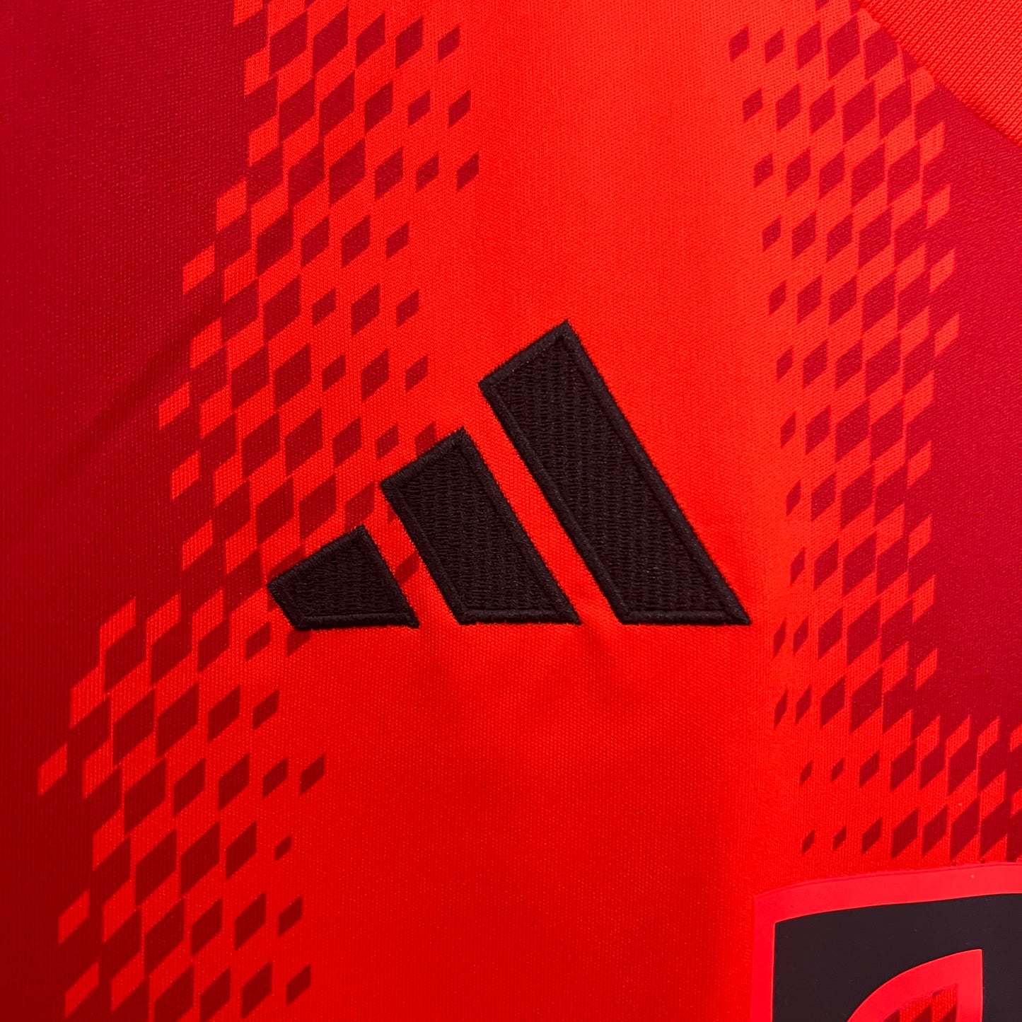 Bayern Munich Home 24/25 Kit