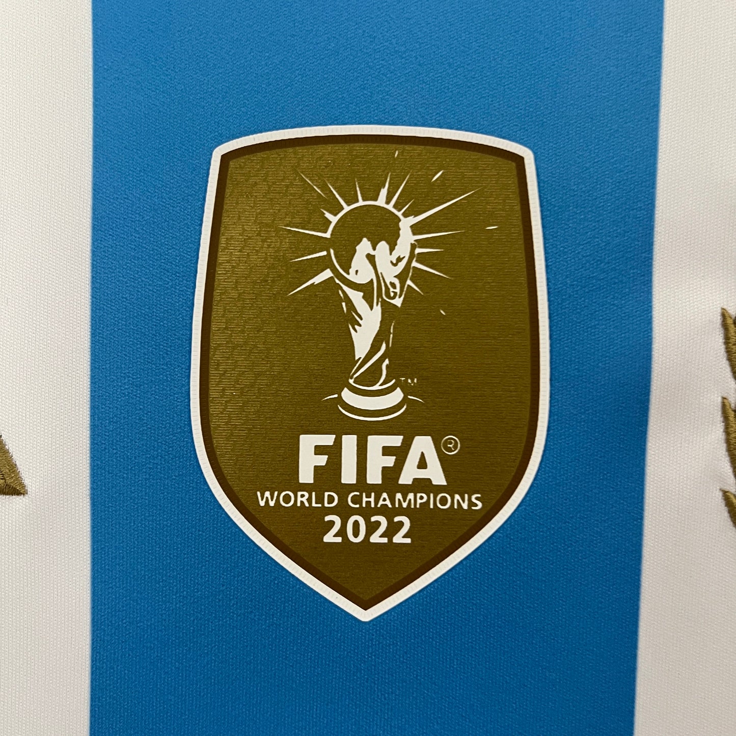 Argentina Home 24/25 Kit