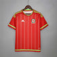 Wales 2015-2016 Jersey